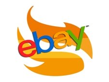 Speer-Chiptuning bei ebay