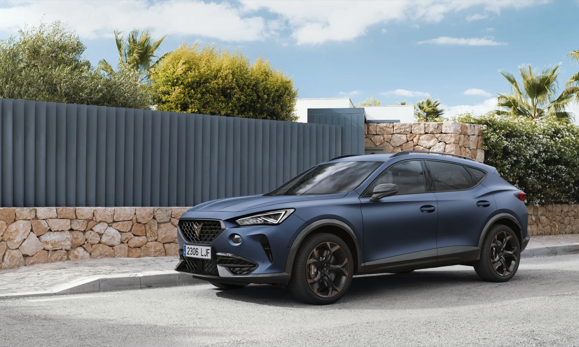 Cupra Formentor Softwareoptimierung Leistungssteigerung